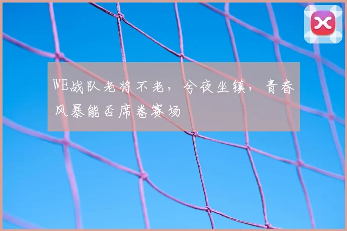 WE战队老将不老，兮夜坐镇，青春风暴能否席卷赛场