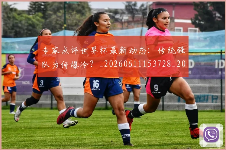 专家点评世界杯最新动态：传统强队为何爆冷？_20260611153728_20260702173647_20260715190220