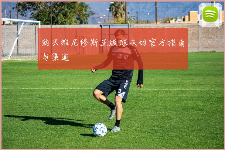 购买维尼修斯正版球衣的官方指南与渠道